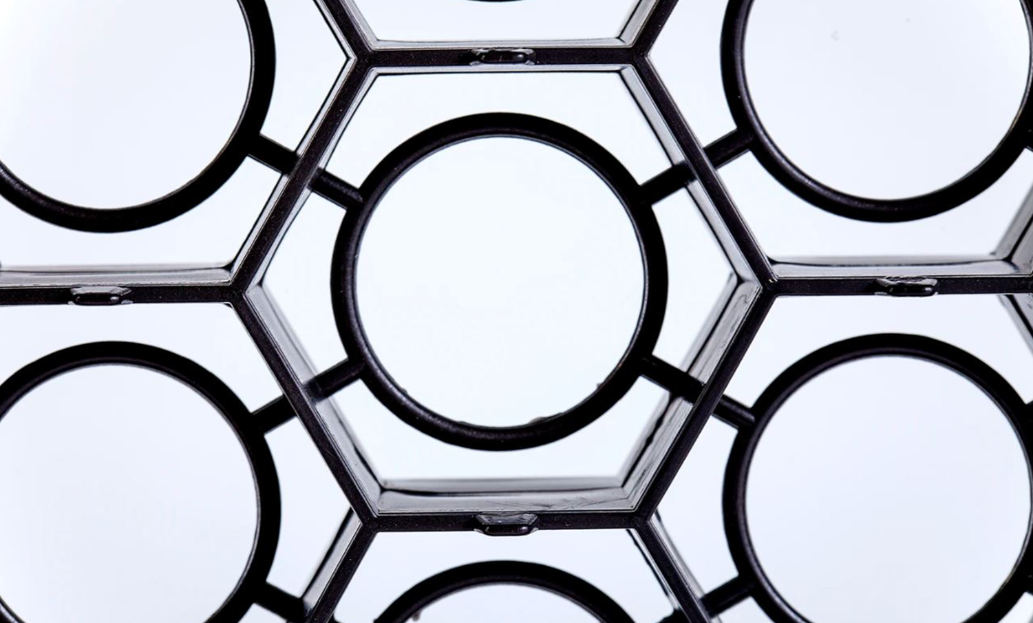 Plateau d’incubation pour 128 œufs de dinde 3