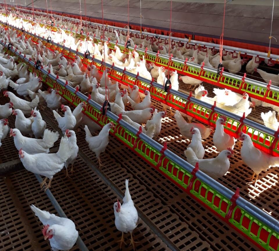 WhatsApp Image 2026-02-12 at 16.26.57