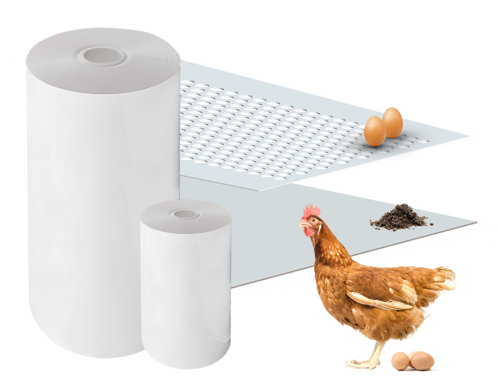 nastri_uova_pollina_animali_corti_zootecnici-1024x795