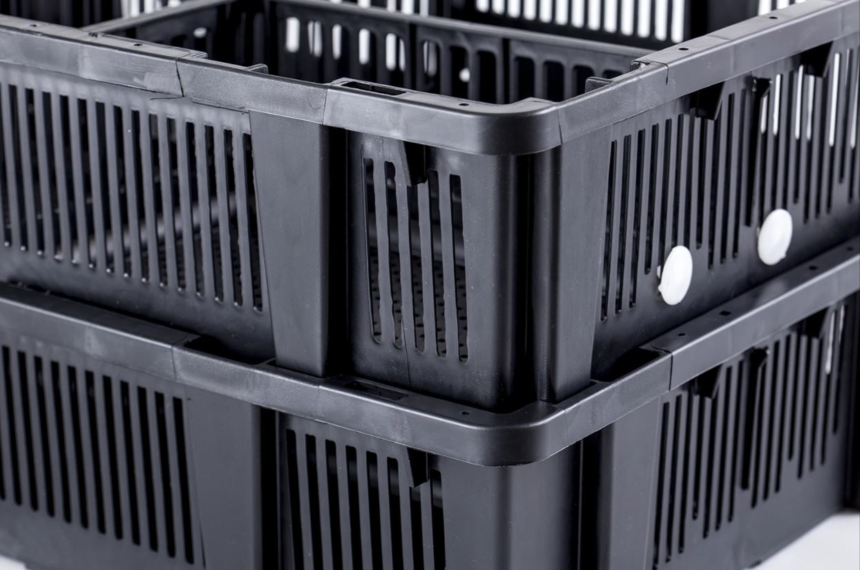 Boîte de transport pour poussins – 4 compartiments 3