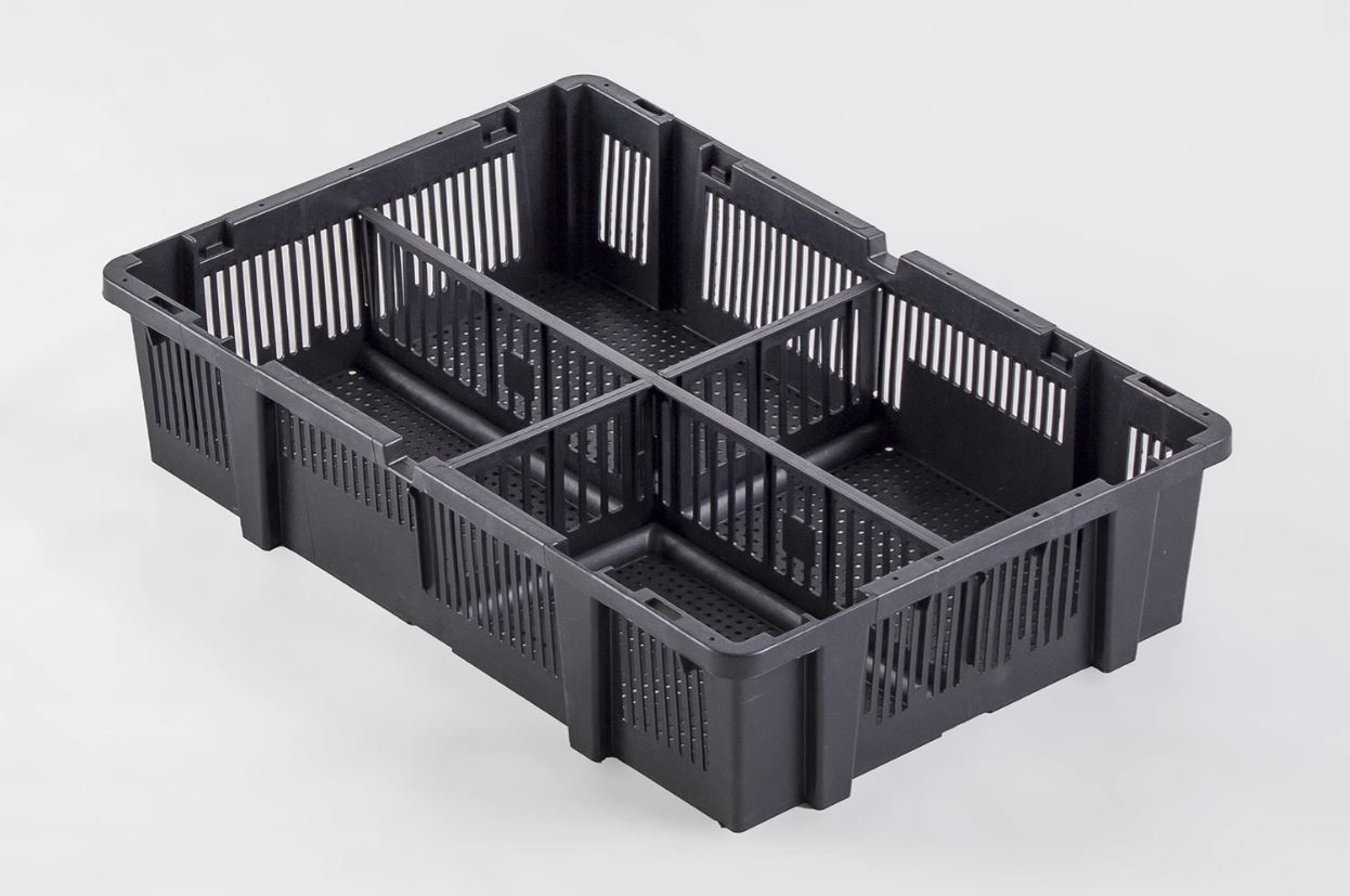 Boîte de transport pour poussins – 4 compartiments