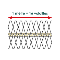 1-mètre-=-16-volailles