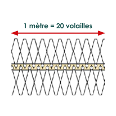 1-mètre-=-20-volailles
